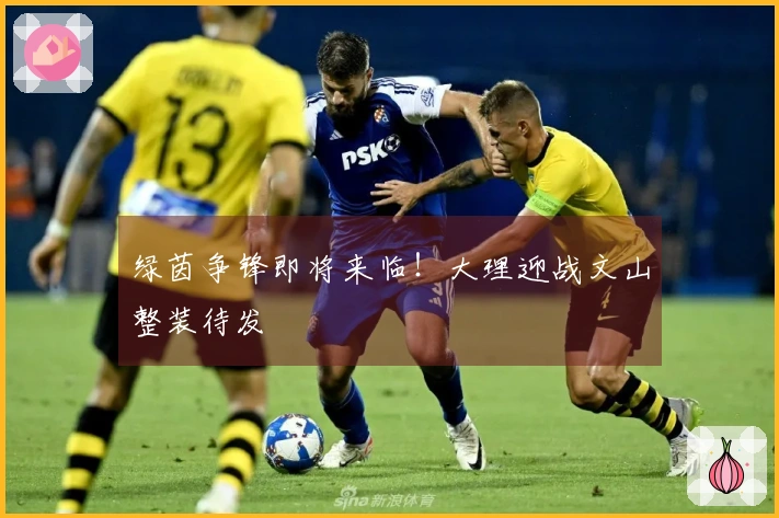 绿茵争锋即将来临！大理迎战文山整装待发