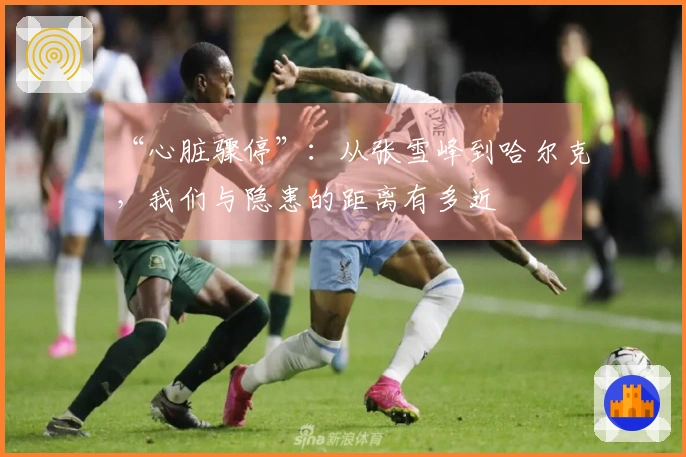 “心脏骤停”：从张雪峰到哈尔克，我们与隐患的距离有多近